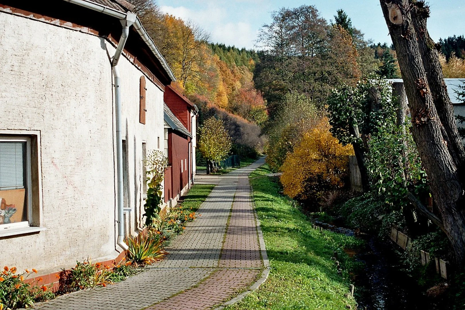 An image depicting the trail Bergstein via Pfaelzer Weinsteig and its surrounding area.