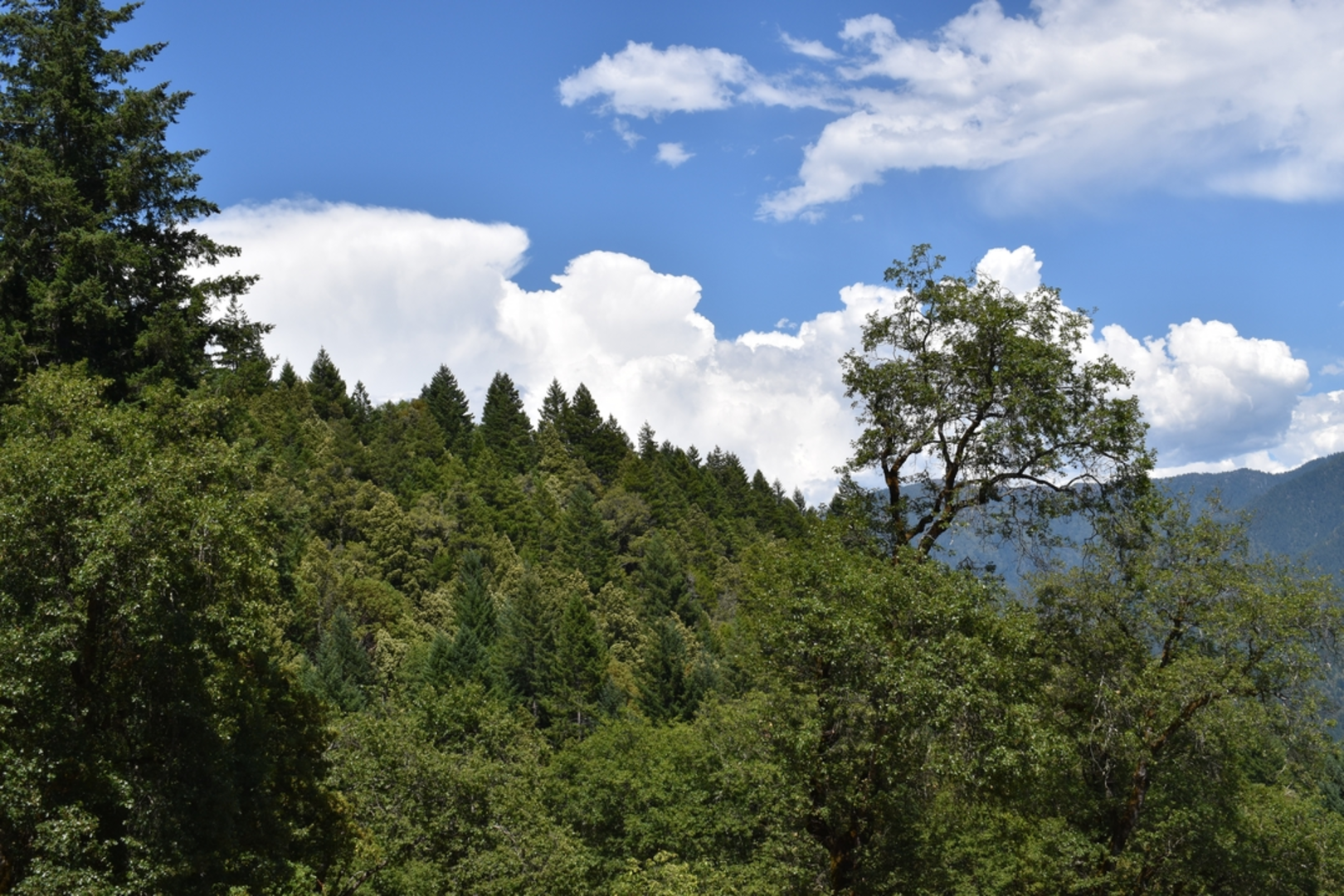 An image depicting the trail Orleans Mountain Trail and its surrounding area.