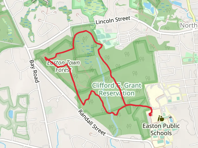 Easton Town Forest Loop Trail