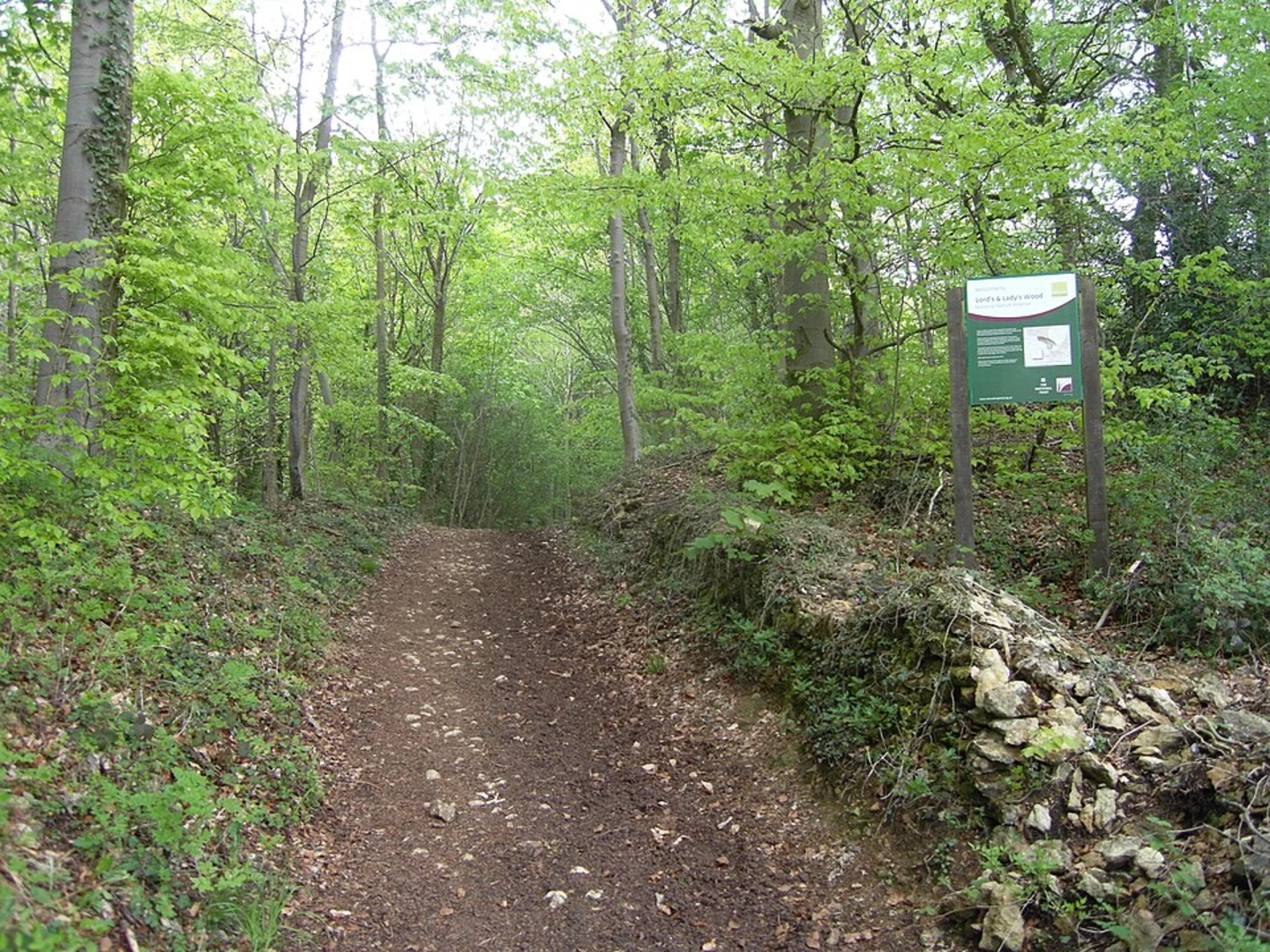 An image depicting the trail Lady's Wood and Lower Woods Nature Reserve Loop and its surrounding area.