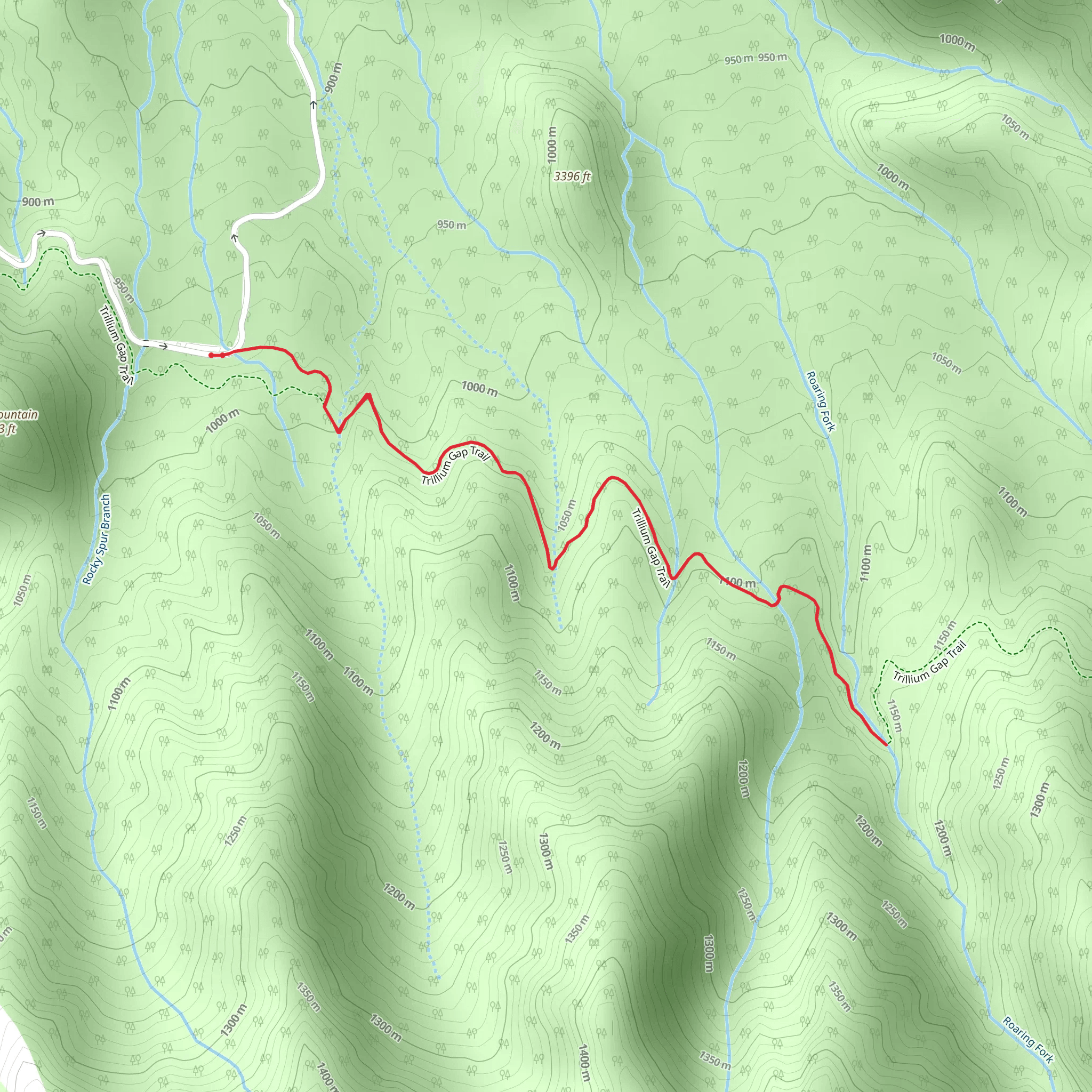 Trillium Gap Trail mobile static map