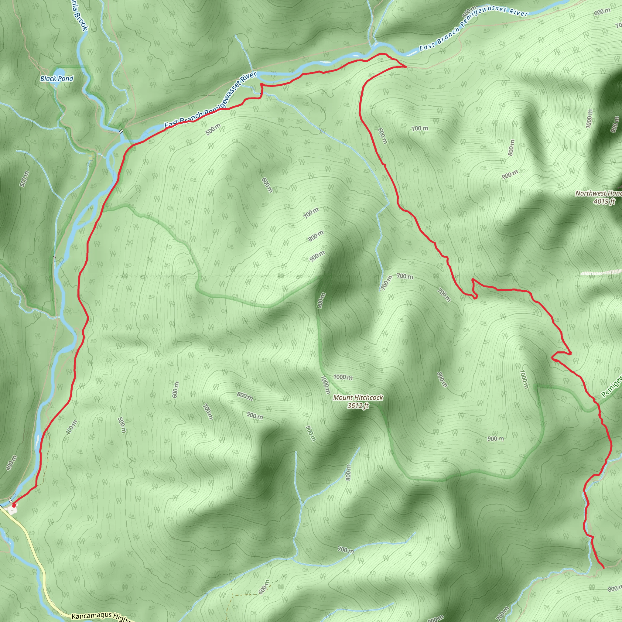Pemi East Side and Cedar Brook Trail mobile static map