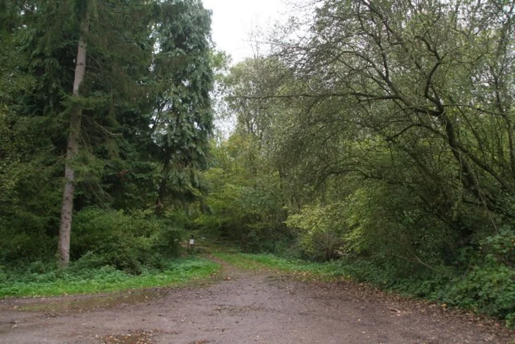 Nocton, Potterhanworth and Wasps Nest Loop Walk