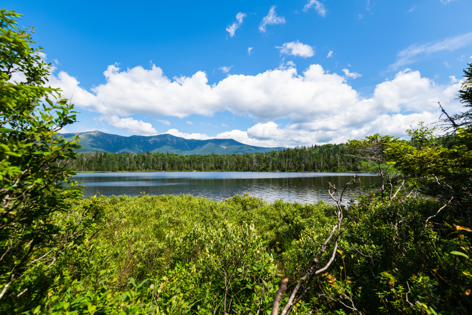 An image depicting the trail Lonesome Lake and Cascade Brook Trail via Pemi Trail and its surrounding area.