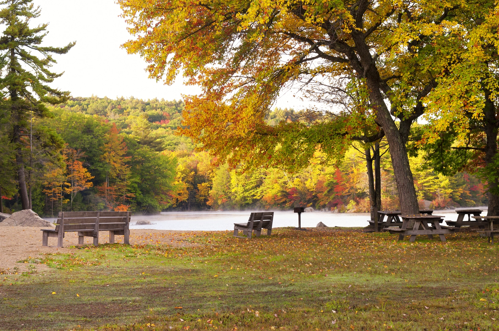 An image depicting the trail Pachaug Trail Loop and its surrounding area.