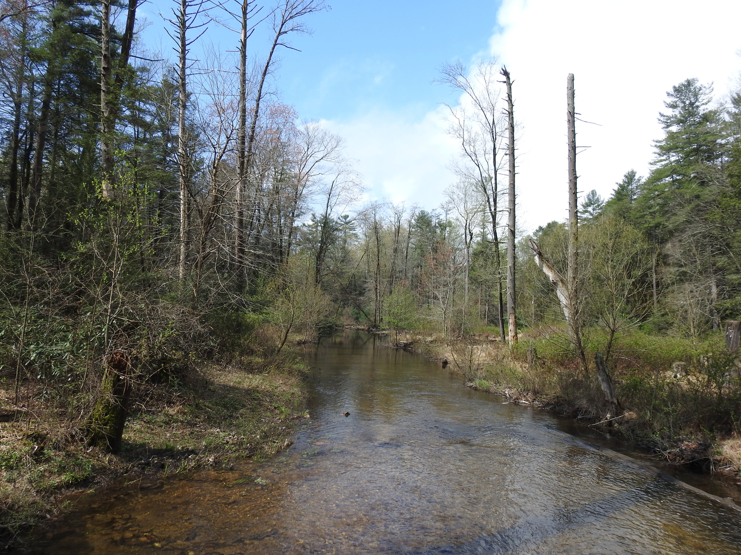 An image depicting the trail Charcoal Hearth Trail and Chambersburg Water Line Loop and its surrounding area.