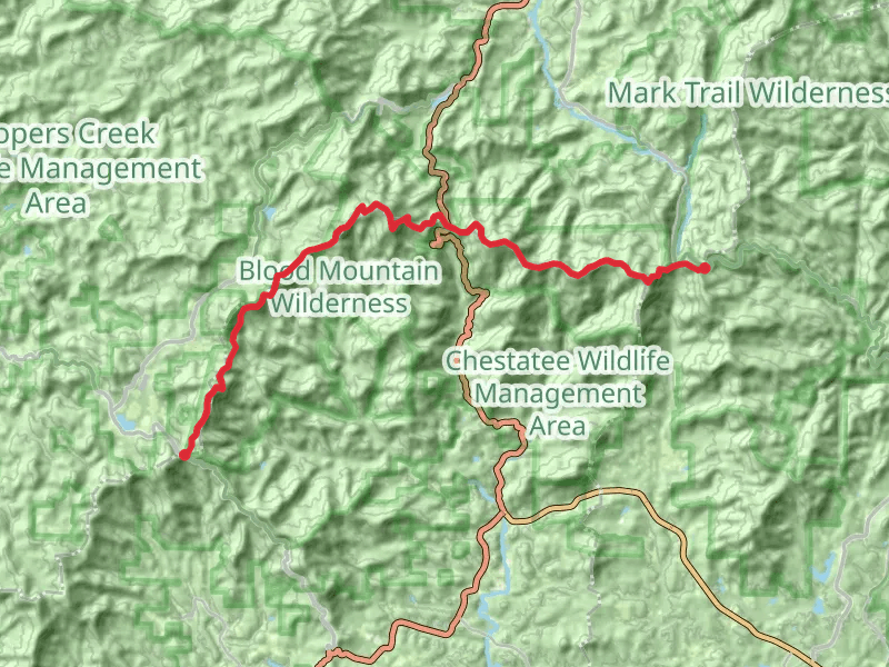 Appalachian Trail from Wolfpen Stamp
