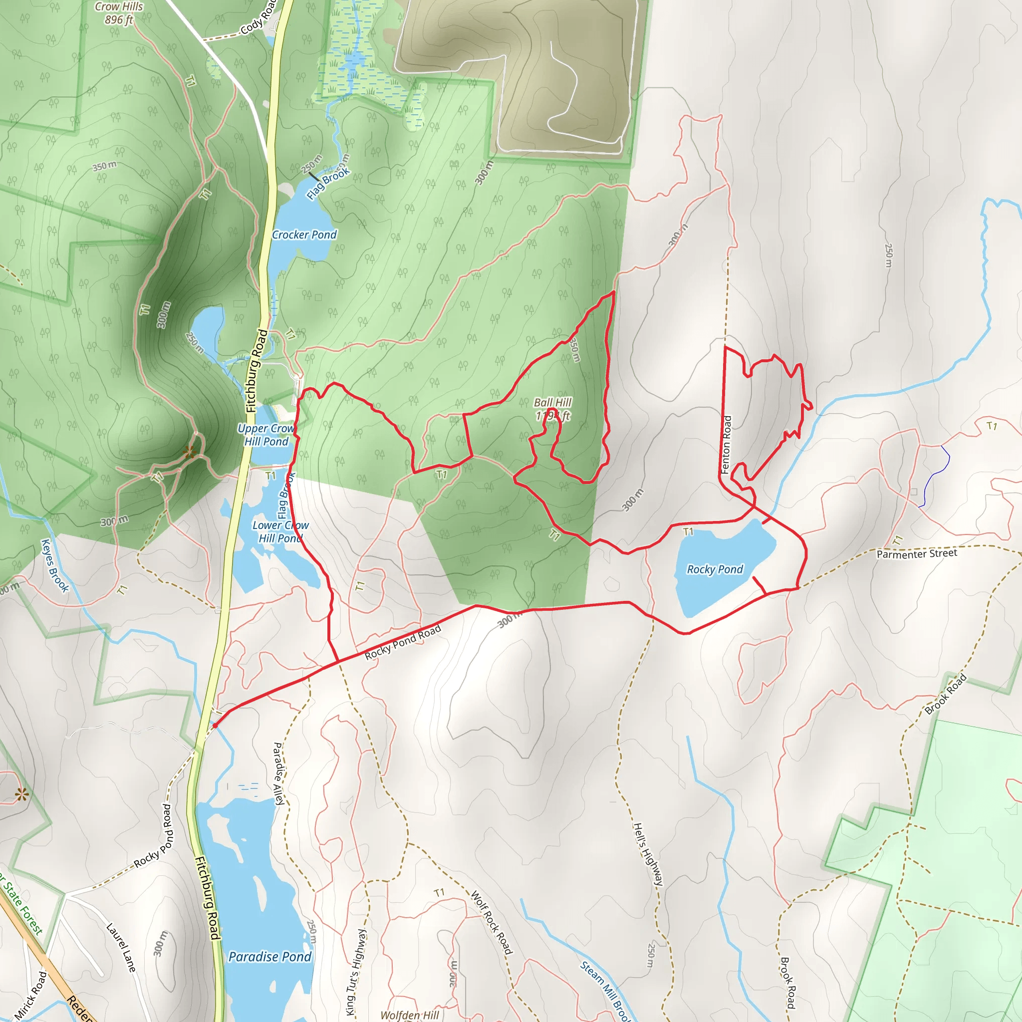 Ball Hill and Rocky Pond Loop mobile static map