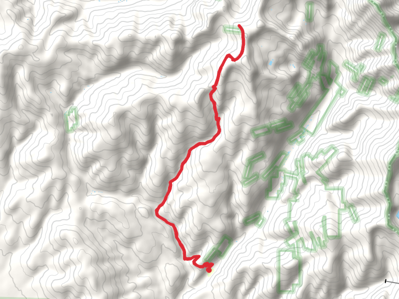 Horseshoe Creek Trail via Canyon Creek Trail