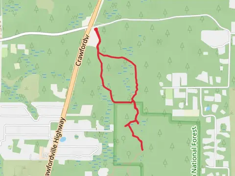 C J Spears Road Out and Back