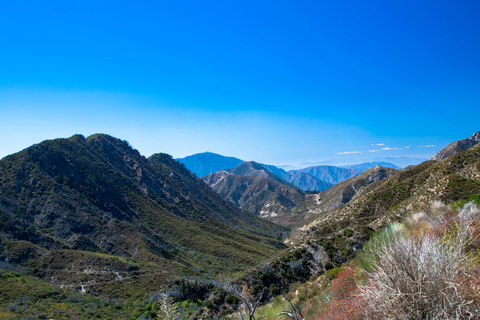 Mount Wilson via Little Santa Anita Canyon