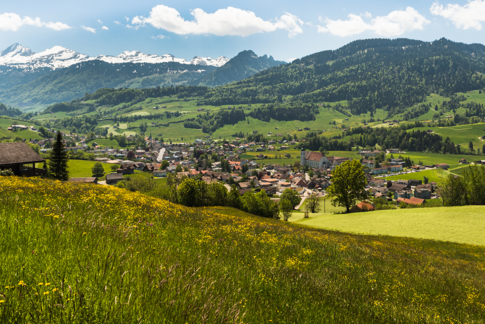 An image depicting the trail Nesslauer Rundweg and its surrounding area.