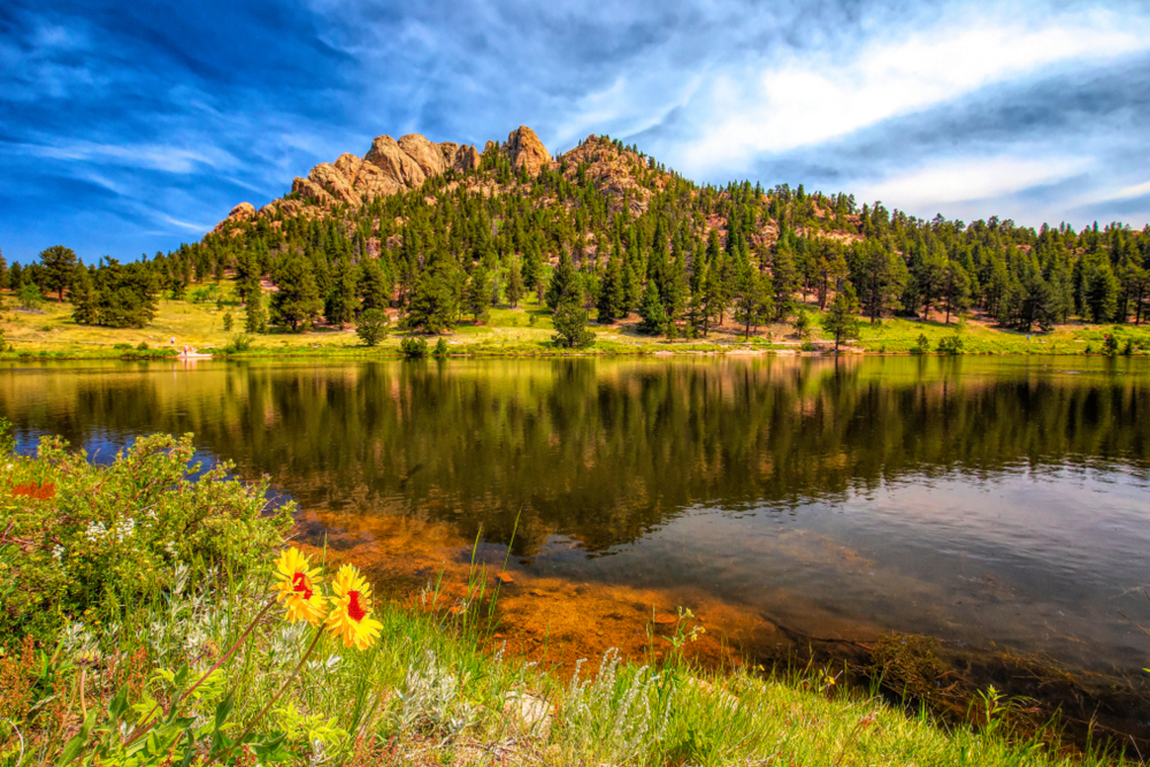 An image depicting the trail Lily Lake Trail and its surrounding area.