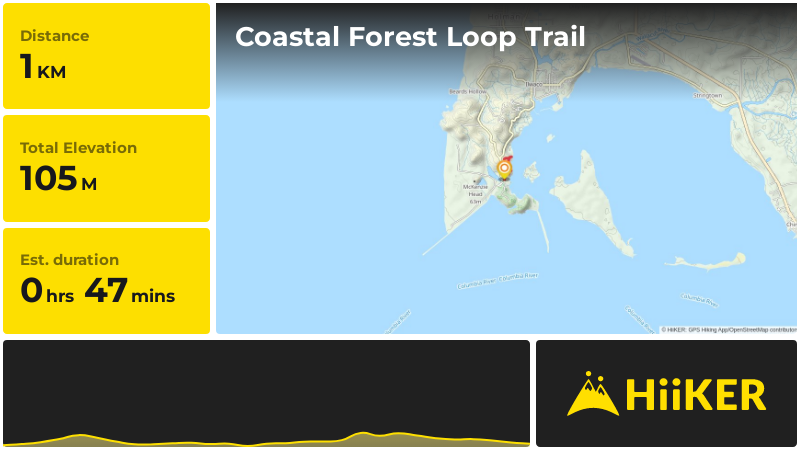 Coastal Forest Loop Trail | Pacific County | Washington