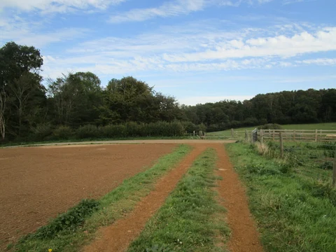 Cransley Wood Loop