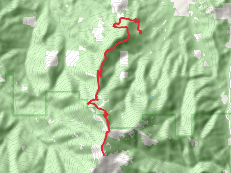 Grayback Mountain Trail