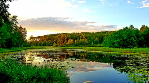 North Country Trail - Minnesota