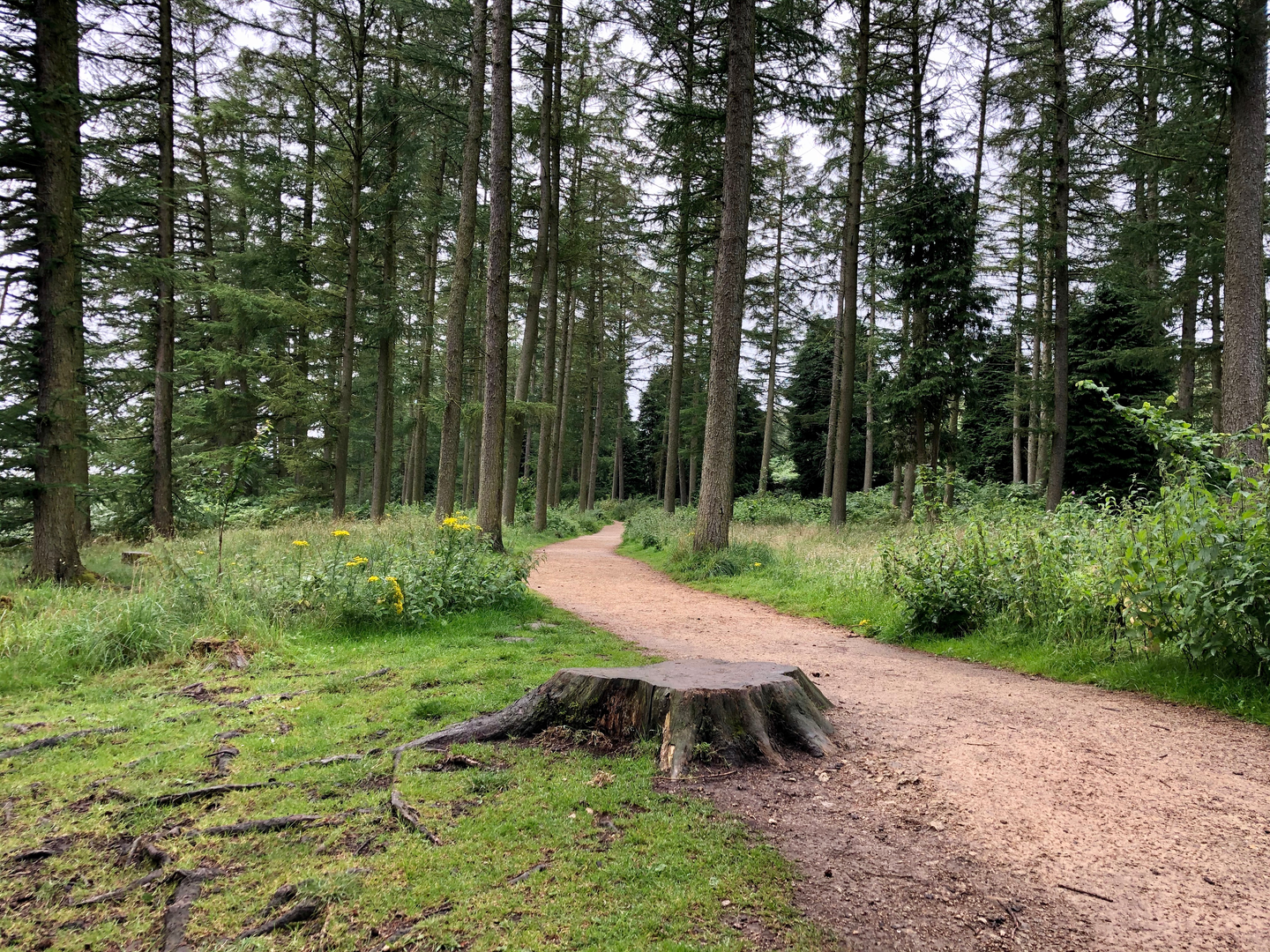 An image depicting the trail Hambleton Hobble Walk and its surrounding area.