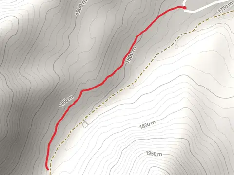South Fork Waldron Terra Trail