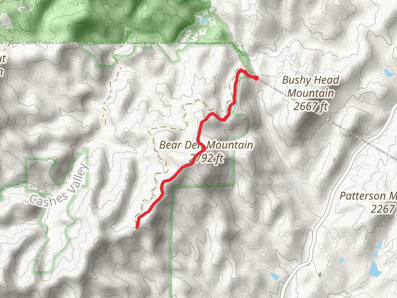 Benton MacKaye Trail
