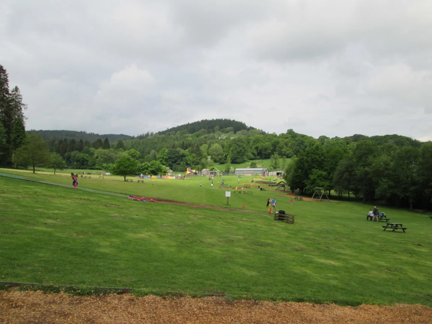 An image depicting the trail Mabie Forest Loop Trail and its surrounding area.