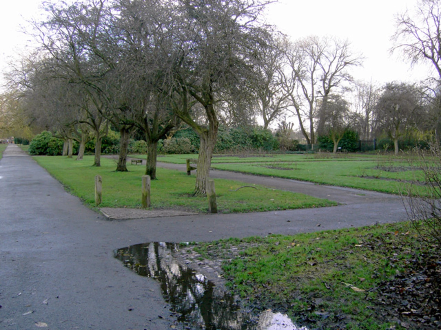 An image depicting the trail Fog Lane Park Loop and its surrounding area.