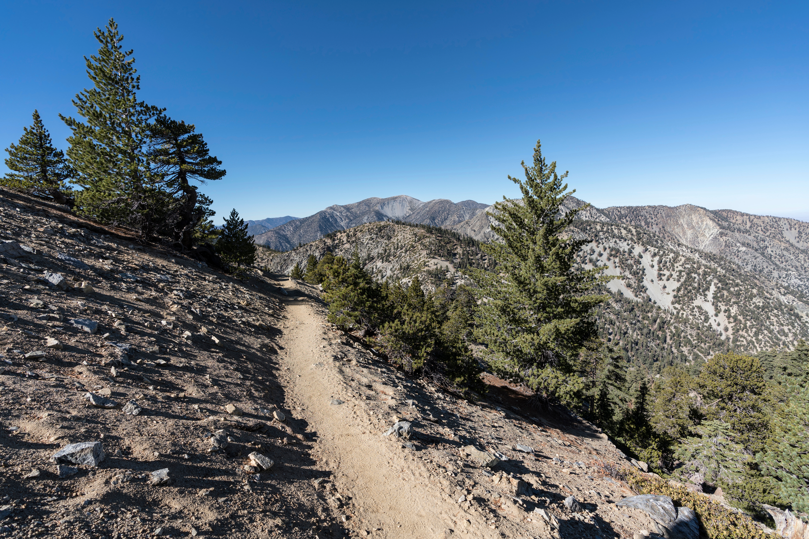 An image depicting the trail Timber Mountain Trail, Telegraph Peak and West Baldy Loop and its surrounding area.