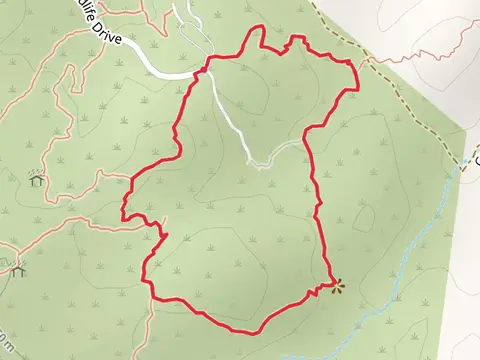 Wildlife Drive Nature Loop Trail
