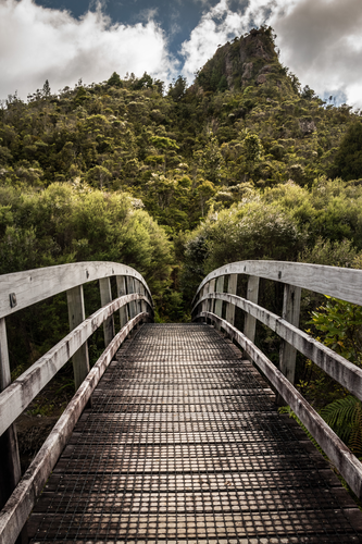 Kauaeranga Kauri Trail - Pinnacles Walk