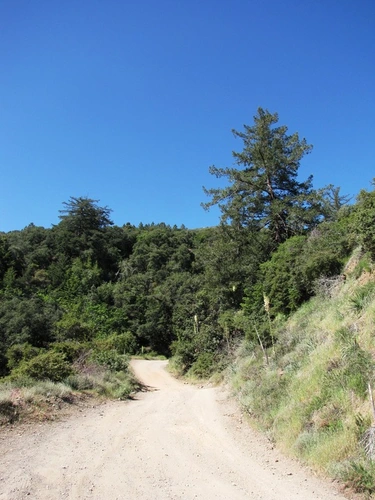 Silverado Canyon Trail