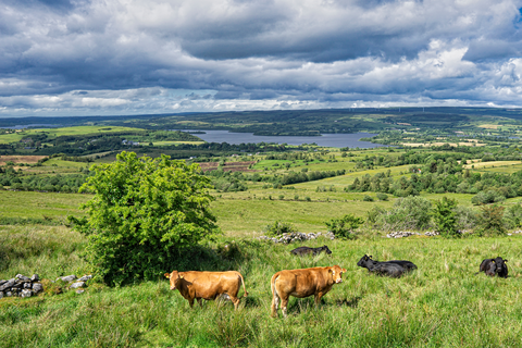 Cavan Burren Park - Calf House Dolmen Trail