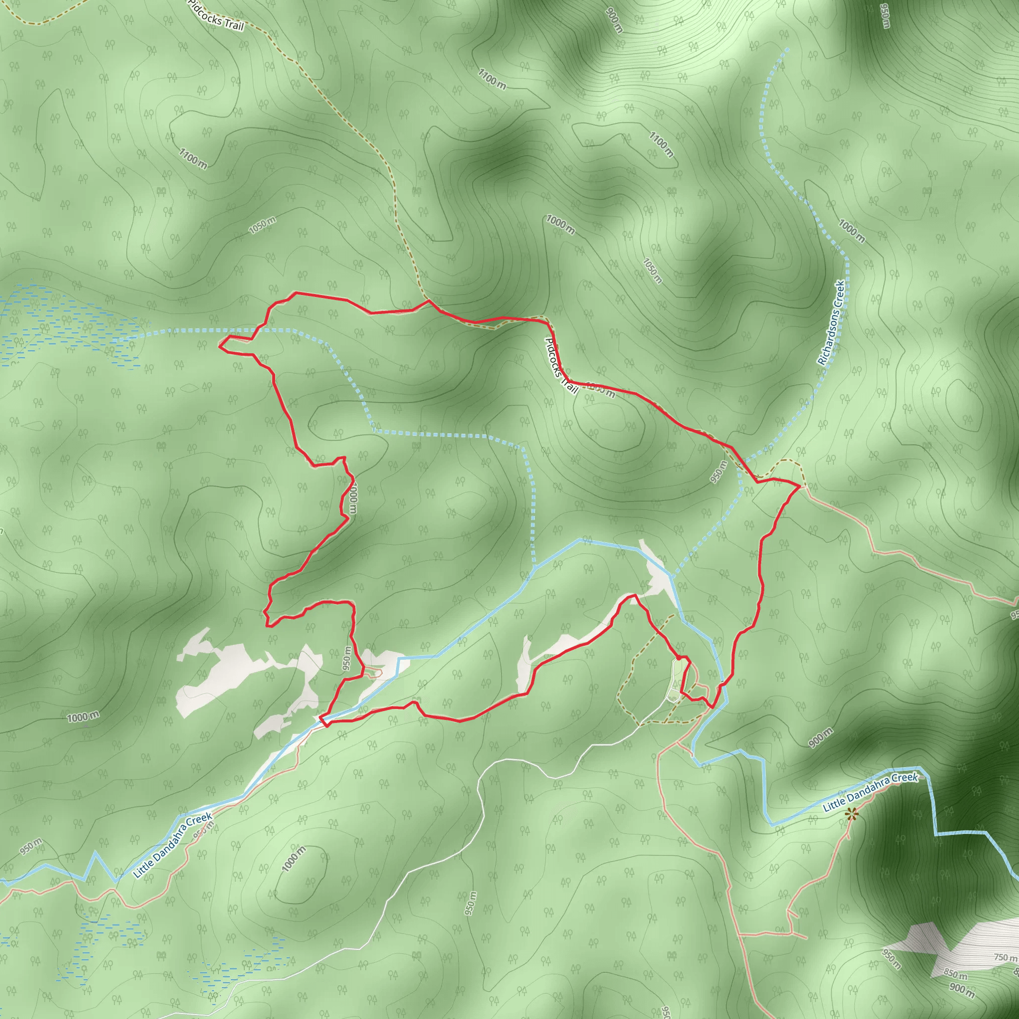Tree Fern Forest Track mobile static map