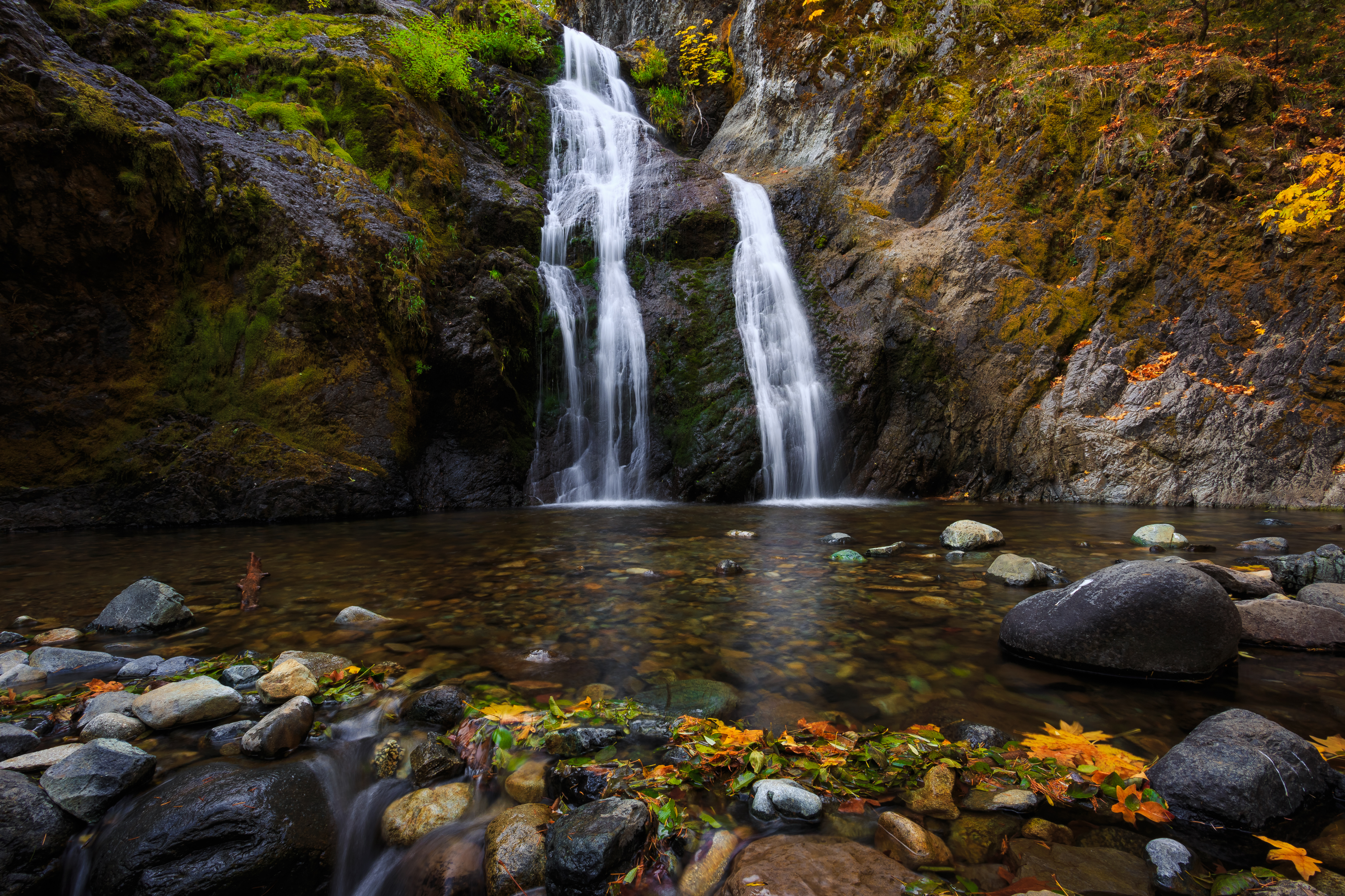An image depicting the trail Shasta-Trinity National Forest and its surrounding area.