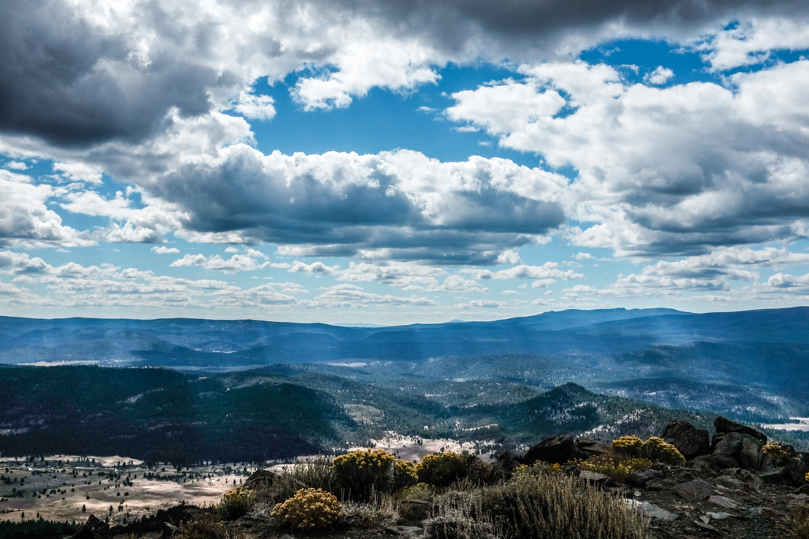 An image depicting the trail Gearhart Mountain Trail and its surrounding area.