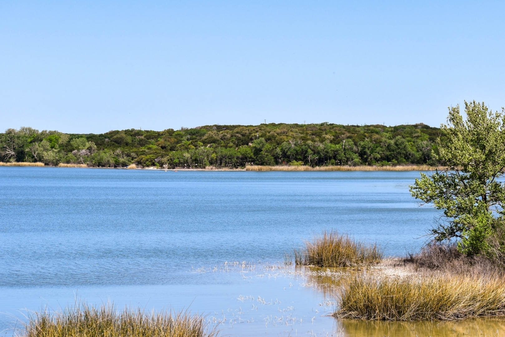 An image depicting the trail Cedar Lake Loop - Cleburne State Park and its surrounding area.