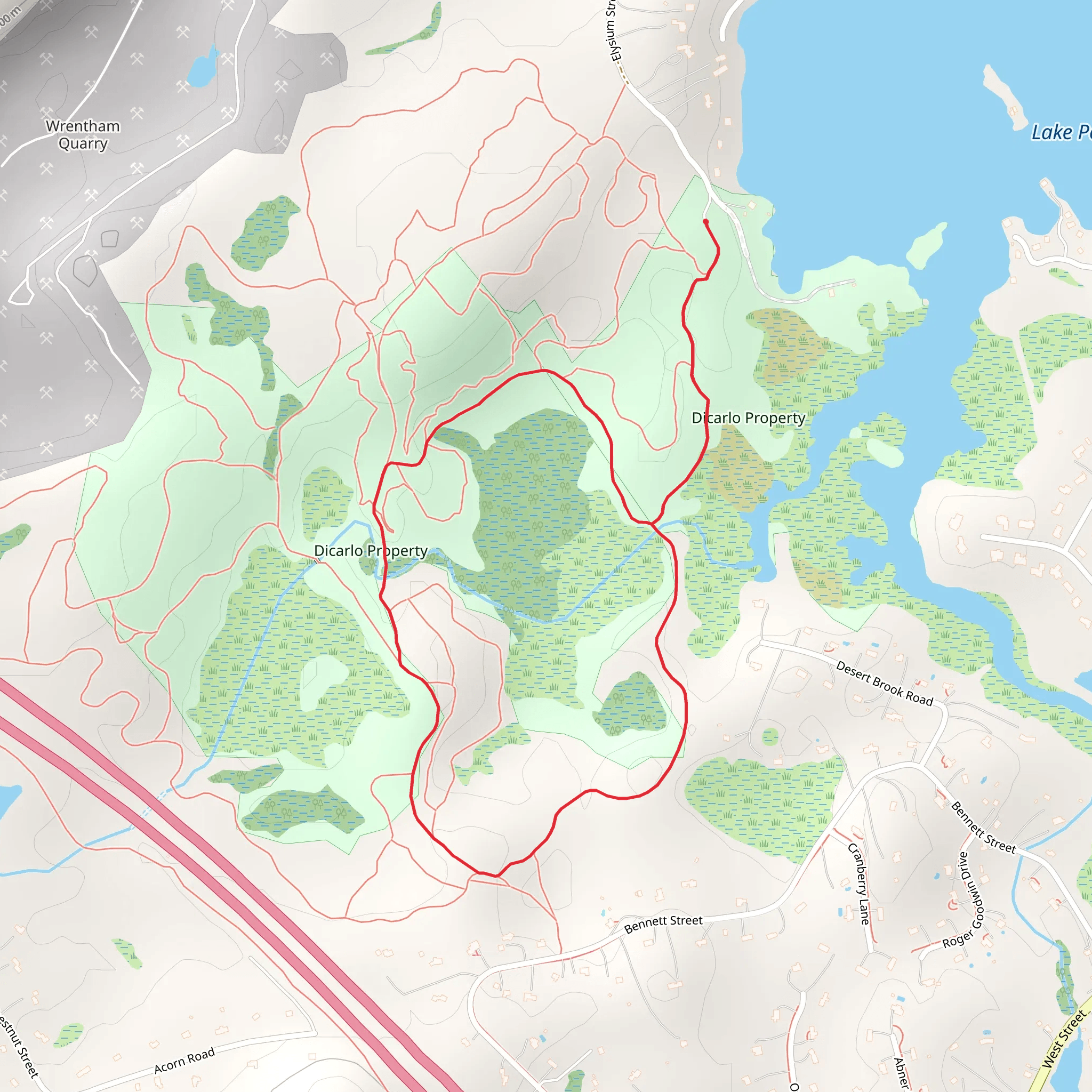 Dicarlo Loop mobile static map