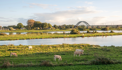 Clumborg to Wijk bij Duurstede via Lekdijk West and Kasteel Duurstede