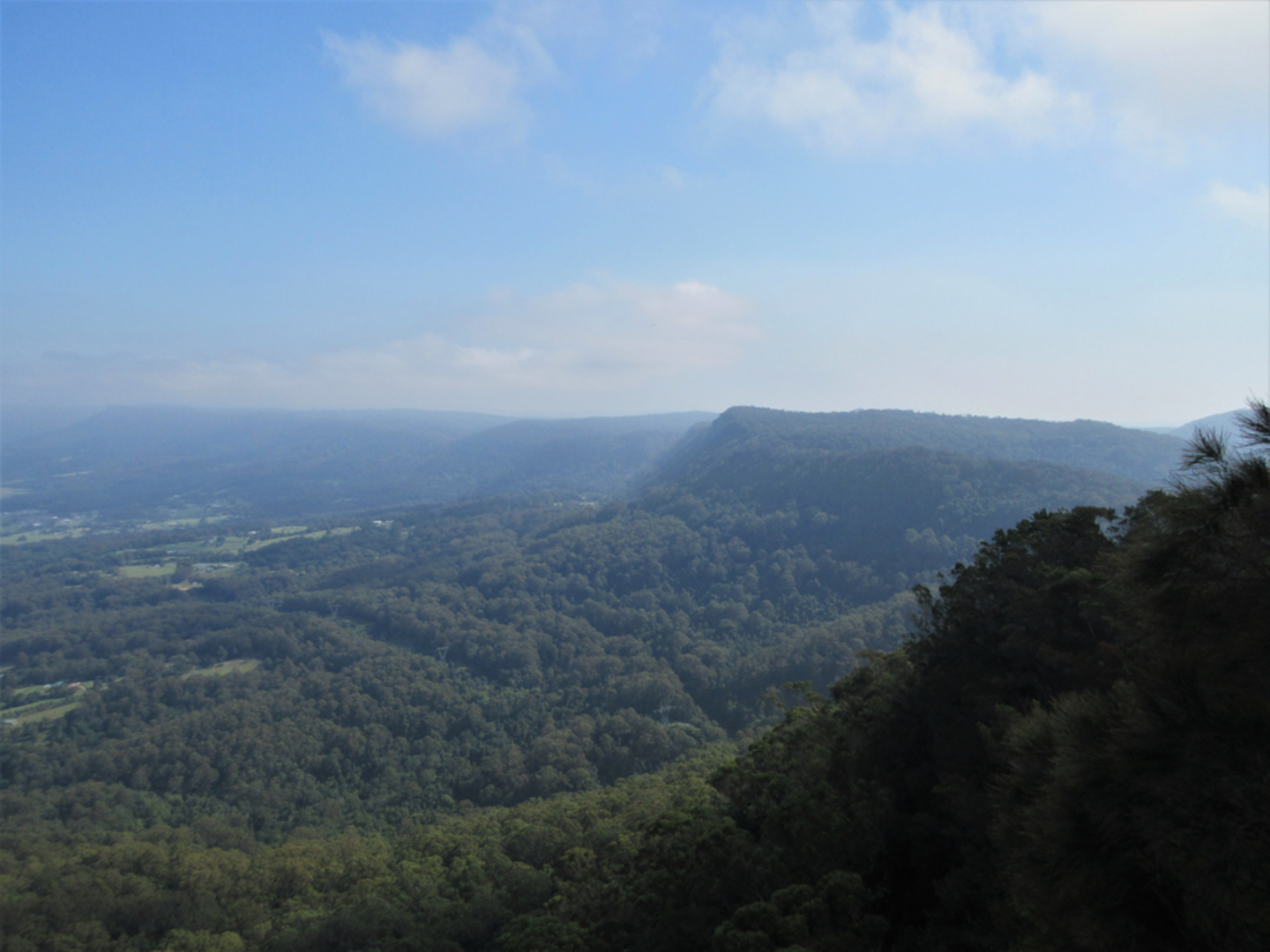 An image depicting the trail Mount Kembla Ring Track and its surrounding area.