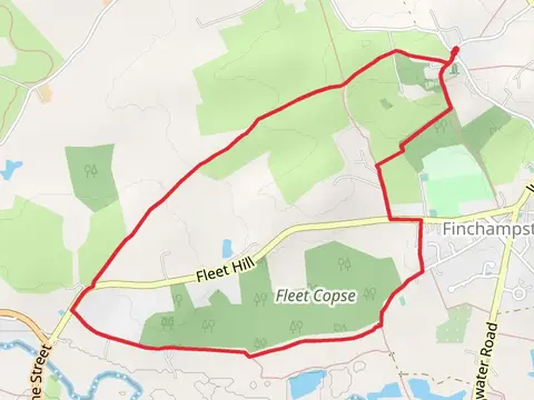 Fleet Copse
