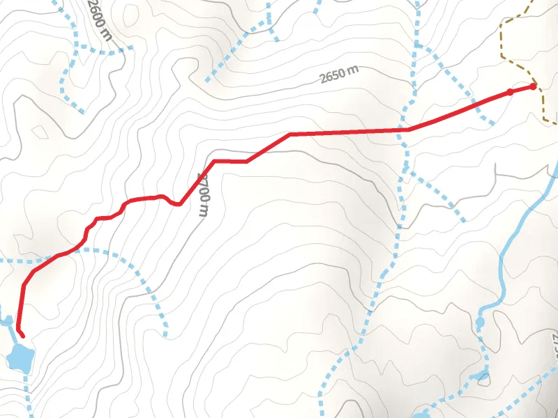 Muckey Lake Trail