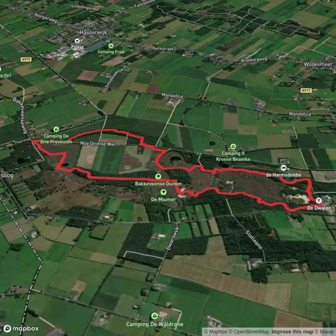 An image depicting the trail Bakkeveensterduinen, Grafheuvels and Fockenhof Loop and its surrounding area.