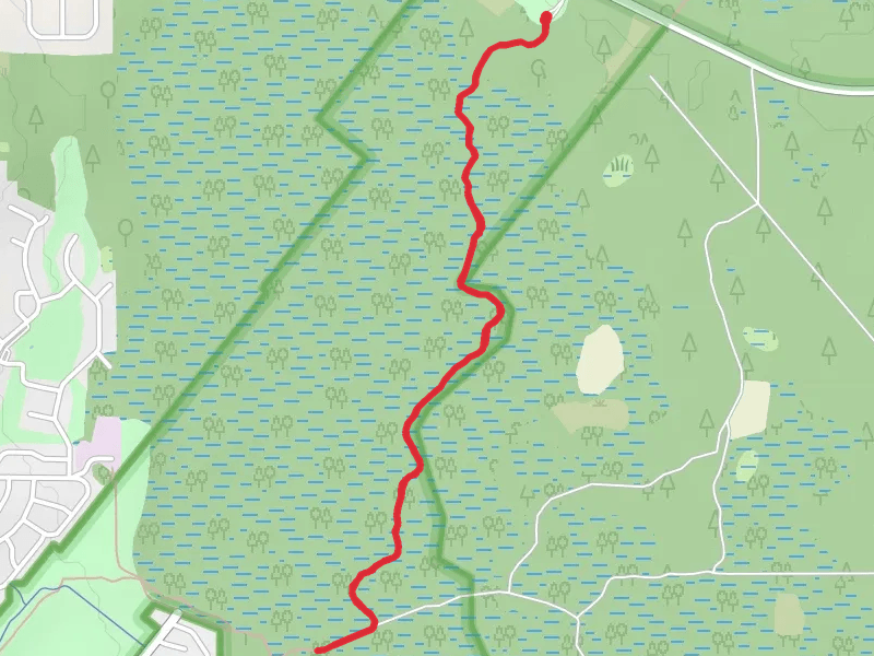 Marshall Swamp Trail