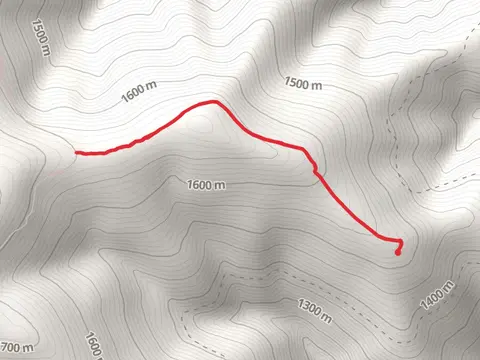 White Pine Ridge Trail