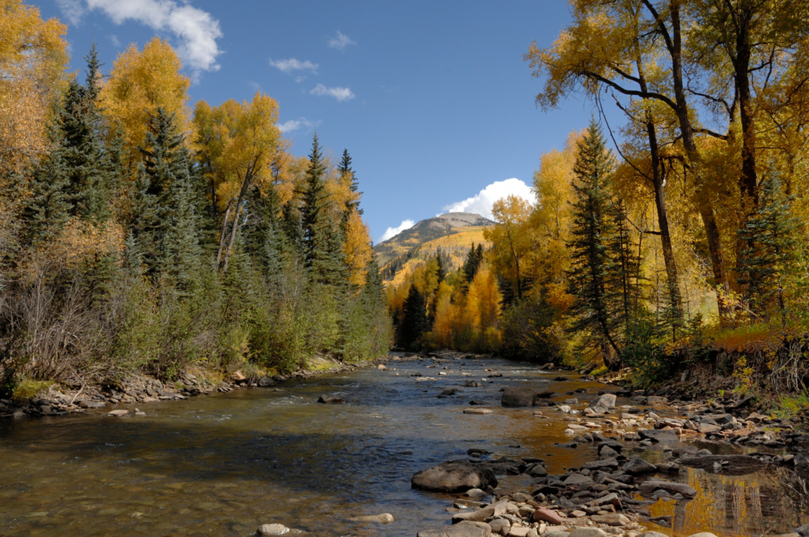 An image depicting the trail Boggy Upper Loop Trail and its surrounding area.
