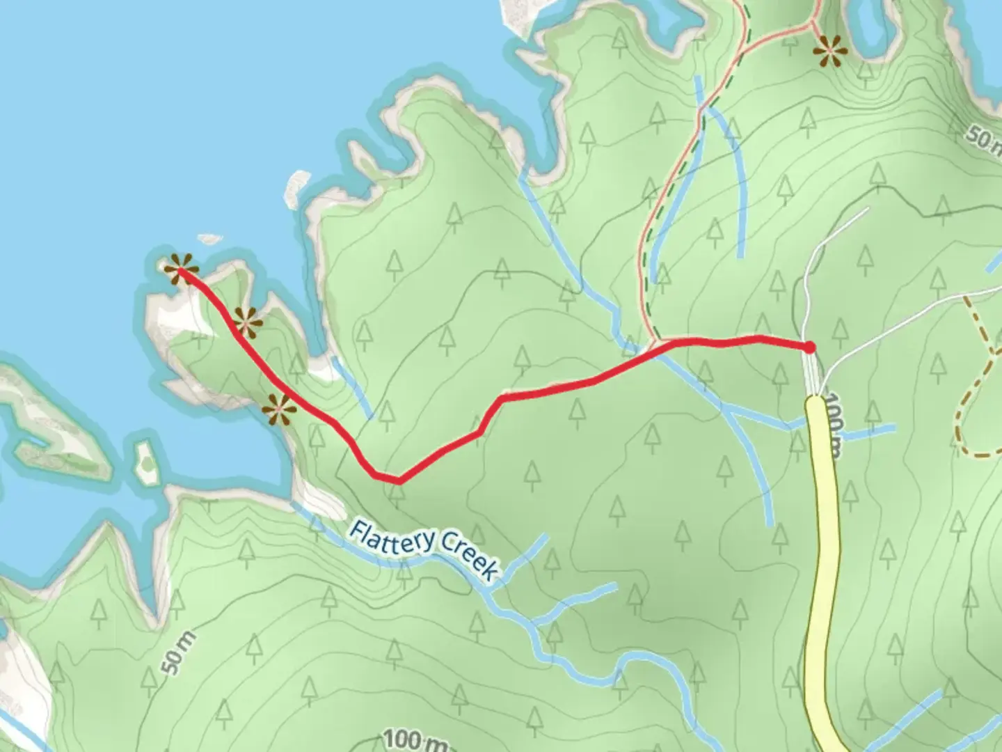 An image depicting the trail Cape Flattery Trail and its surrounding area.