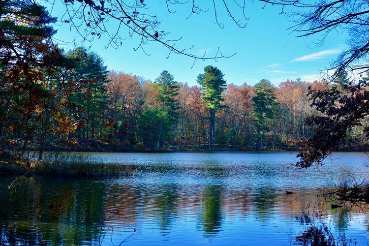 Haggetts Pond via Bay Circuit Trail