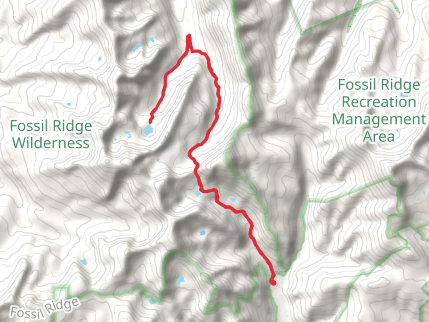 An image depicting the trail Henry Lake and South Lottis Trail and its surrounding area.