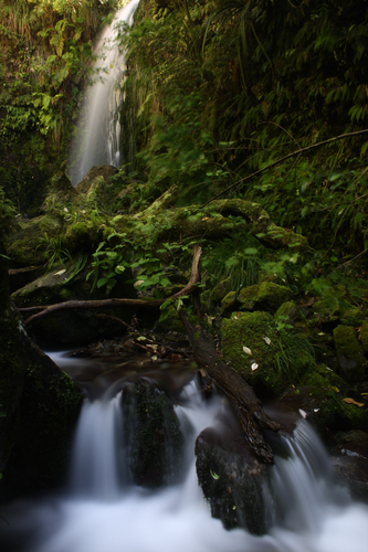 Rata Falls Track