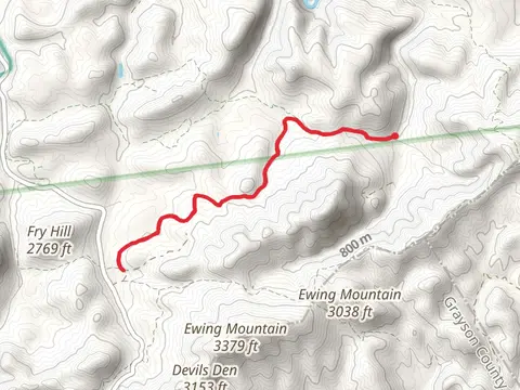 Moore Trail