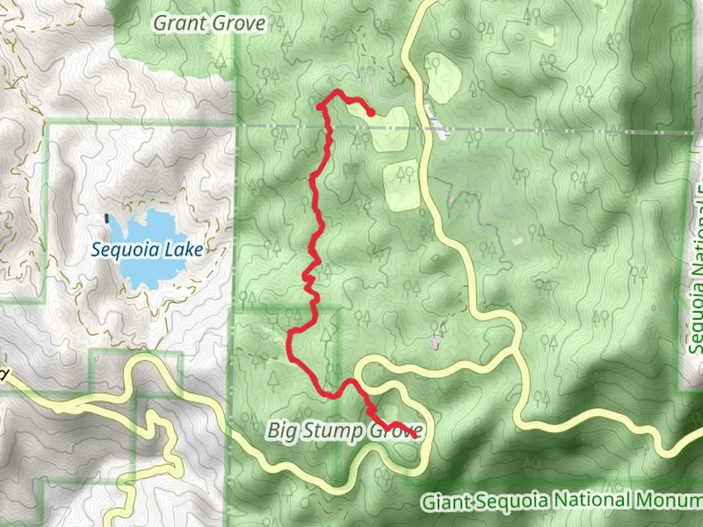 An image depicting the trail Big Stump and South Boundary Trail and its surrounding area.